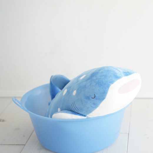 美ら海水族館ジンベイザメ ぬいぐるみの洗濯 02 08 Sentaku Yuichi Com 美ら海水族館ジンベイザメ ぬいぐるみの洗濯 02 08 Sentaku Yuichi Com